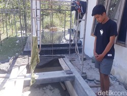 Mengapa Buaya Ini Kabur hingga Gegerkan Warga Tuban Usai Divaksin?