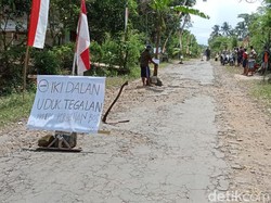 Warga Blitar Tanam Pisang di Jalan Rusak yang Tak Diperbaiki 10 Tahun