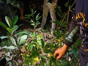 Pria di Gowa Sulsel Tewas Usai Dianiaya OTK di Hutan Pria di Gowa Sulsel Tewas Usai Dianiaya OTK di Hutan