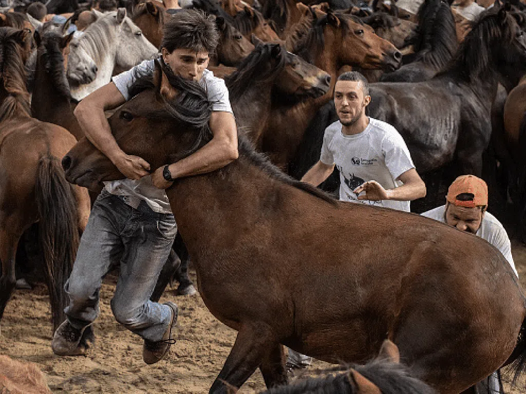 Intip Tradisi Adu Tangguh Manusia dengan Kuda di Spanyol