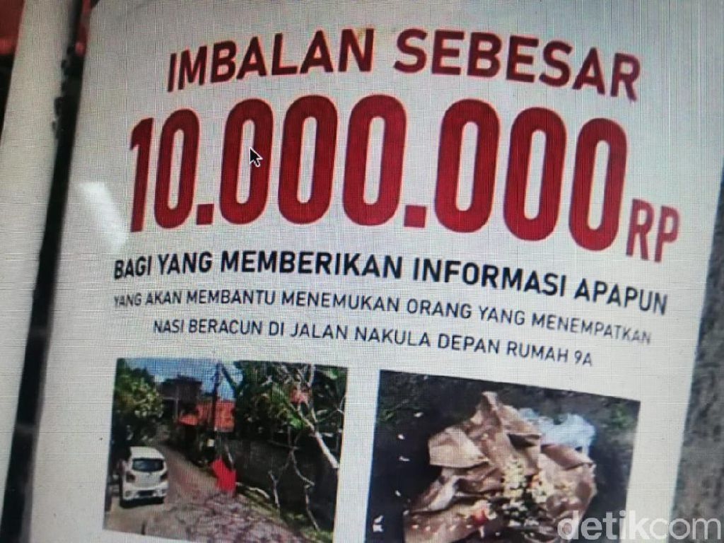 Viral 3 Anjing di Bali Mati Diracun, Pemilik Bikin Sayembara Rp 10 Juta Viral 3 Anjing di Bali Mati Diracun, Pemilik Bikin Sayembara Rp 10 Juta