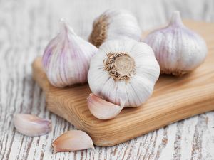 5 Bumbu Dapur Ini Bisa Pulihkan Indera Penciuman karena Covid-19 5 Bumbu Dapur Ini Bisa Pulihkan Indera Penciuman karena Covid-19