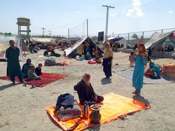 Afghanistan Dikuasai Taliban, Ekspor RI ke Sana Tetap Melesat 361%