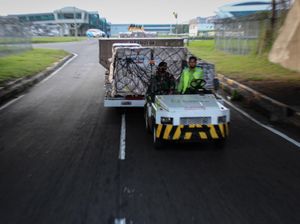 1,8 Juta Dosis Vaksin Sinovac Tiba di Indonesia 1,8 Juta Dosis Vaksin Sinovac Tiba di Indonesia