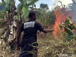 Lereng Gunung Walat Sukabumi Terbakar, Warga Berjibaku Padamkan Api