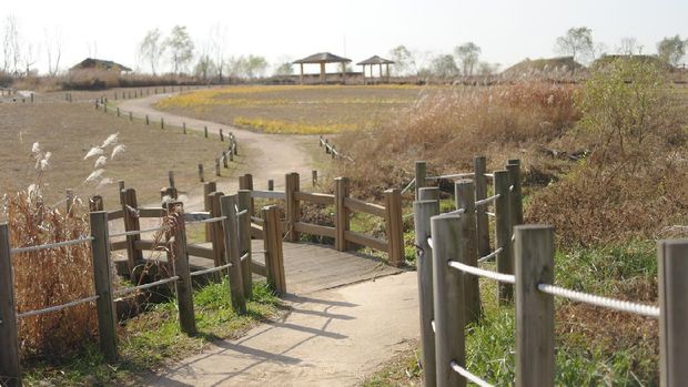 Peaceful Noeul Park in Seoul