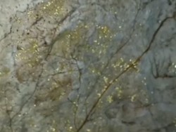 Viral Gua di Sumut Dipenuhi Serpihan Emas, Camat Luruskan