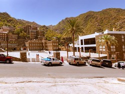 Tak Lagi Ikonik, Arab Saudi Kini Larang Tanam Pohon Palem