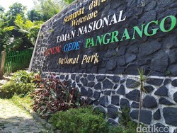 2,5 Ton Sampah Diangkut dari Gede Pangrango, Kondom hingga 80 Celana Dalam