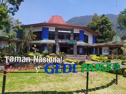 Dua Bulan Tutup, Pendakian Gunung Gede Pangrango Kembali Dibuka