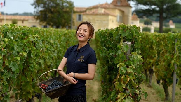 (FILES) In this file photograph taken on September 18, 2018, Chinese singer and actress Zhao Wei poses in her vineyards of Chateau Monlot in Saint-Hippolyte, southwestern France, during the annual harvest. - Zhao Wei bought the Chateau Monlot, a seven hectare Saint-Emilion Grand Cru, in 2012.  Search results for Zhao We, an enormously popular actress also known as Vicky Zhao, were censored from major Chinese video streaming sites late August 27, 2021, as Beijing steps up its campaign against celebrity culture. (Photo by Nicolas TUCAT / AFP)