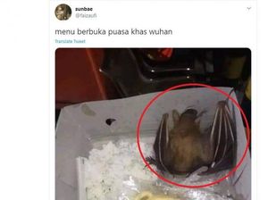 Bikin Elus Dada, 5 Nasi Kotak Ini Isinya Kelelawar hingga Beras Mentah