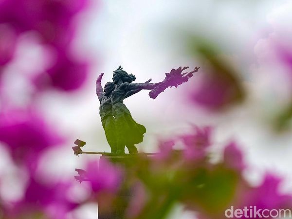 Ini Bunga Bougenville yang Diklaim Anies Bermekaran