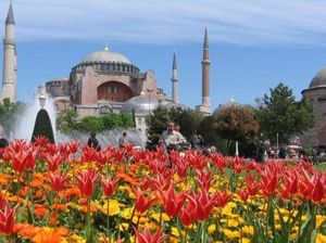 Ada Apa Nih? Pejabat RI dan Pertamina Cs Ramai-ramai ke Turki