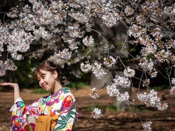 Bunga Sakura Kini Mekar Lebih Awal Karena Perubahan Iklim, Efeknya Mengerikan