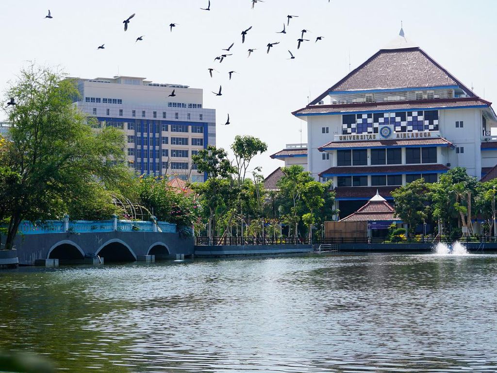 11 Universitas Bidang Hukum Terbaik di Indonesia Versi SIR 2022