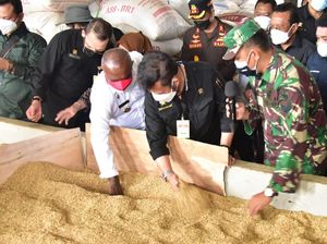Mentan Dorong Merauke Hasilkan Beras Premium untuk Target Ekspor