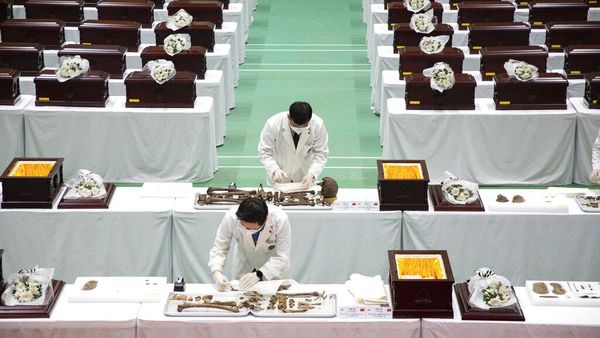 Korsel Pulangkan Kerangka Tentara China yang Gugur di Perang Korea