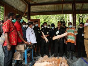 Hutan Sagu di Papua Bisa Jadi Kawasan Agrowisata? Ini Kata Mentan Hutan Sagu di Papua Bisa Jadi Kawasan Agrowisata? Ini Kata Mentan