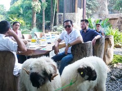 Bamsoet Puji Faunaland Lindungi-Kembangbiakkan Satwa Asli Indonesia