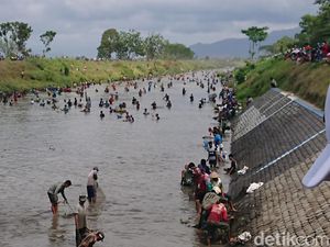 Dampak Flushing DAM Warga Tulungagung Terjun ke Sungai Berburu Ikan Dampak Flushing DAM Warga Tulungagung Terjun ke Sungai Berburu Ikan