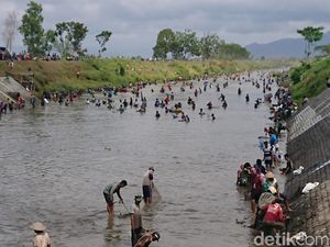 Saat Ribuan Warga Tulungagung Berburu Ikan Saat Dam Boyolangu Dikuras Saat Ribuan Warga Tulungagung Berburu Ikan Saat Dam Boyolangu Dikuras