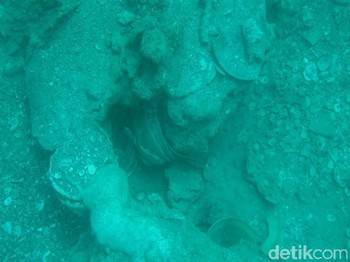 Warisan Keramik di Dasar Laut
