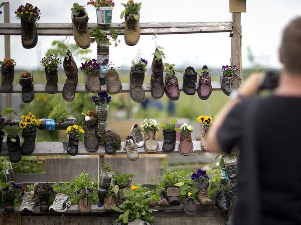Ide Kreatif Menyulap Sepatu Bekas Jadi Vas Bunga