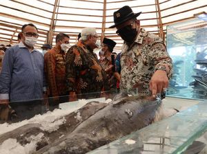 Ketua DPD Puji Langkah Pemkab Lamsel Tangani Yatim Piatu Korban COVID