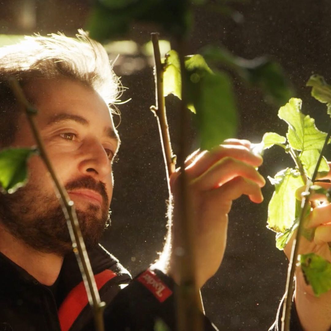 Fakta Menarik Wafer Loacker