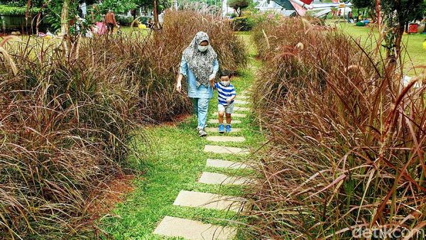 Nggak Usah Jauh-jauh, Piknik di Tengah Kota Ini juga Nggak Kalah Asyik
