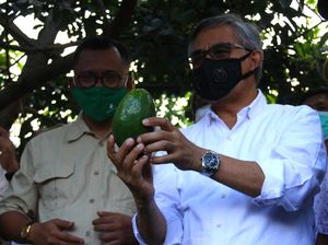 Tingkatkan Akses Pembiayaan KUR Petani