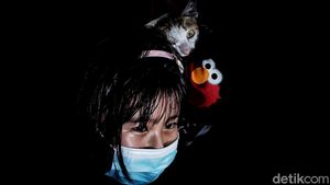 Antisipasi Rabies, Hewan-hewan Ini juga Divaksinasi