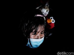 Antisipasi Rabies, Hewan-hewan Ini juga Divaksinasi