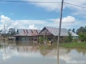 2 Desa di Luwu Utara Sulsel Terendam Banjir Akibat Hujan Deras
