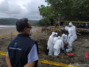 FKH Unair Teliti Bangkai Lumba-lumba Terdampar di Pantai Tulungagung FKH Unair Teliti Bangkai Lumba-lumba Terdampar di Pantai Tulungagung