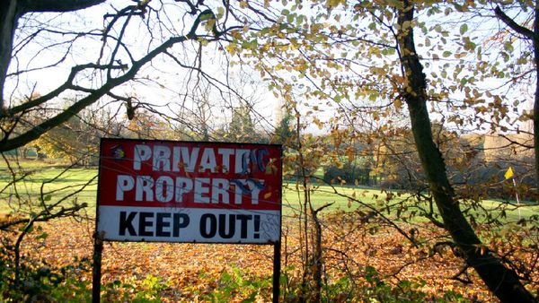 Foto: Hutan Epping, Makam Pembunuhan Berantai yang Angker