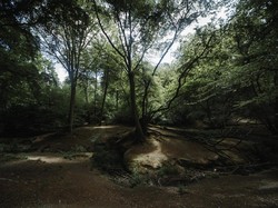 Terlilit Utang, Pria Ini Tinggal di Hutan Selama 17 Tahun Bersama Mobilnya