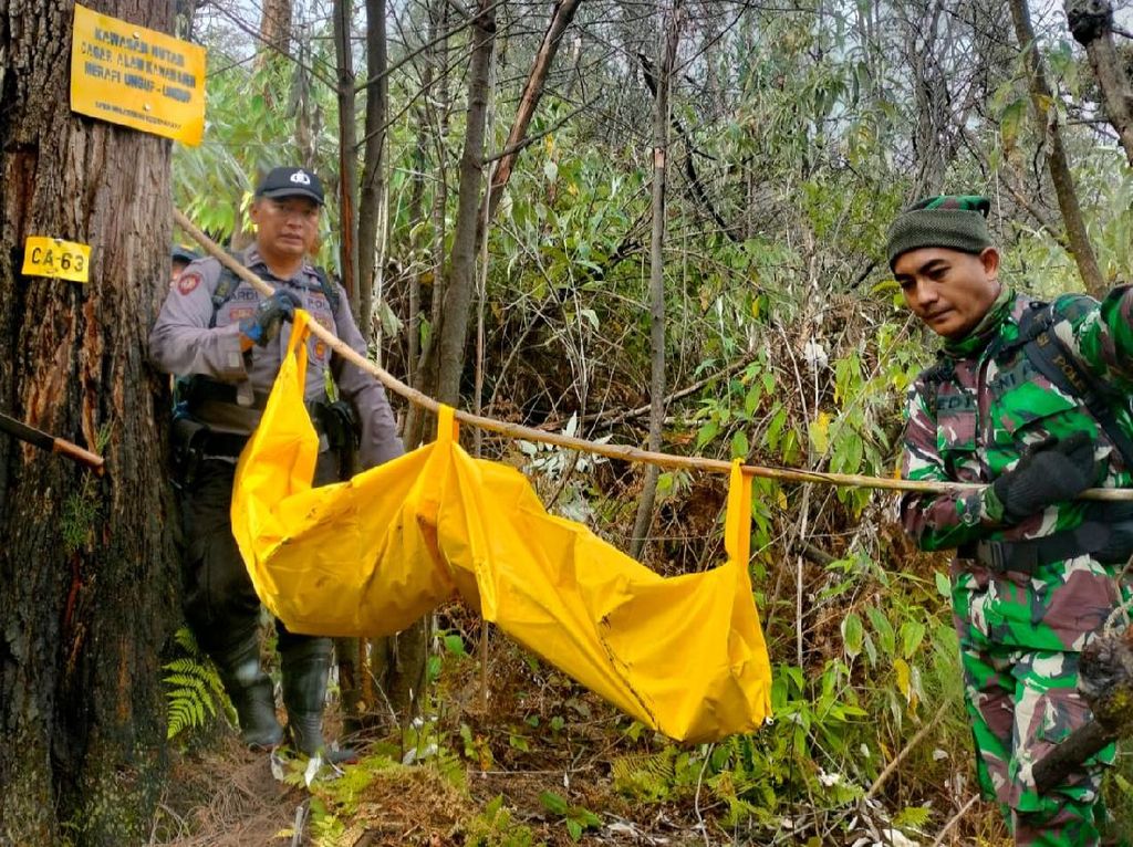 Cerita Mistis Tim SAR saat Evakuasi Kerangka di Hutan Lindung Banyuwangi