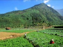 Ciri-ciri Dataran Tinggi di Wilayah Indonesia Beserta Manfaatnya