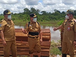 Pemprov Kalteng Minta KLHK Koordinasi soal Izin Penebangan Hutan