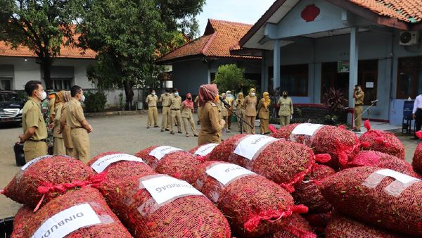 PNS Ramai-ramai Borong Cabe, Ada Apa Nih Sob?