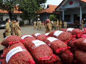 PNS Ramai-ramai Borong Cabe, Ada Apa Nih Sob?