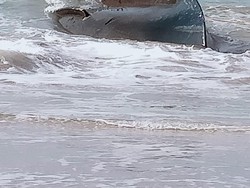 Dugaan Polisi soal Sri Lanka di Balik Kapal Berisi Mayat Tanpa Kepala