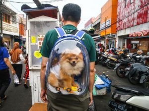 PPKM Jawa-Bali Kembali Diperpanjang