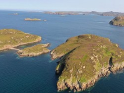 Pulau Seluas 22 Hektar Ini Dijual Rp 997 Juta, tapi Banyak Satwa Liarnya