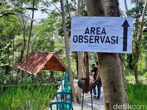 Obyek Wisata Belum Buka, Sleman Kejar Vaksinasi Pelaku Usaha Obyek Wisata Belum Buka, Sleman Kejar Vaksinasi Pelaku Usaha