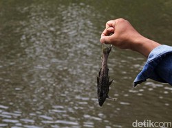 Polisi Usut Pabrik Olahan Pangan Diduga Cemari Sungai Cimanceuri Tangerang