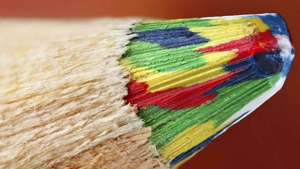 Wow! Beginilah Penampakan Benda Sehari-hari Secara Dekat