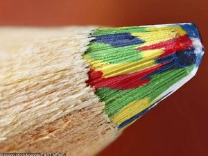 Wow! Beginilah Penampakan Benda Sehari-hari Secara Dekat